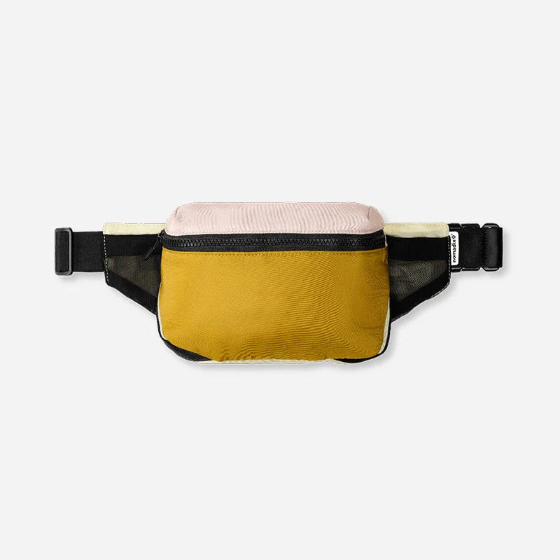 Fanny Pack: Spring Desert Nomadix