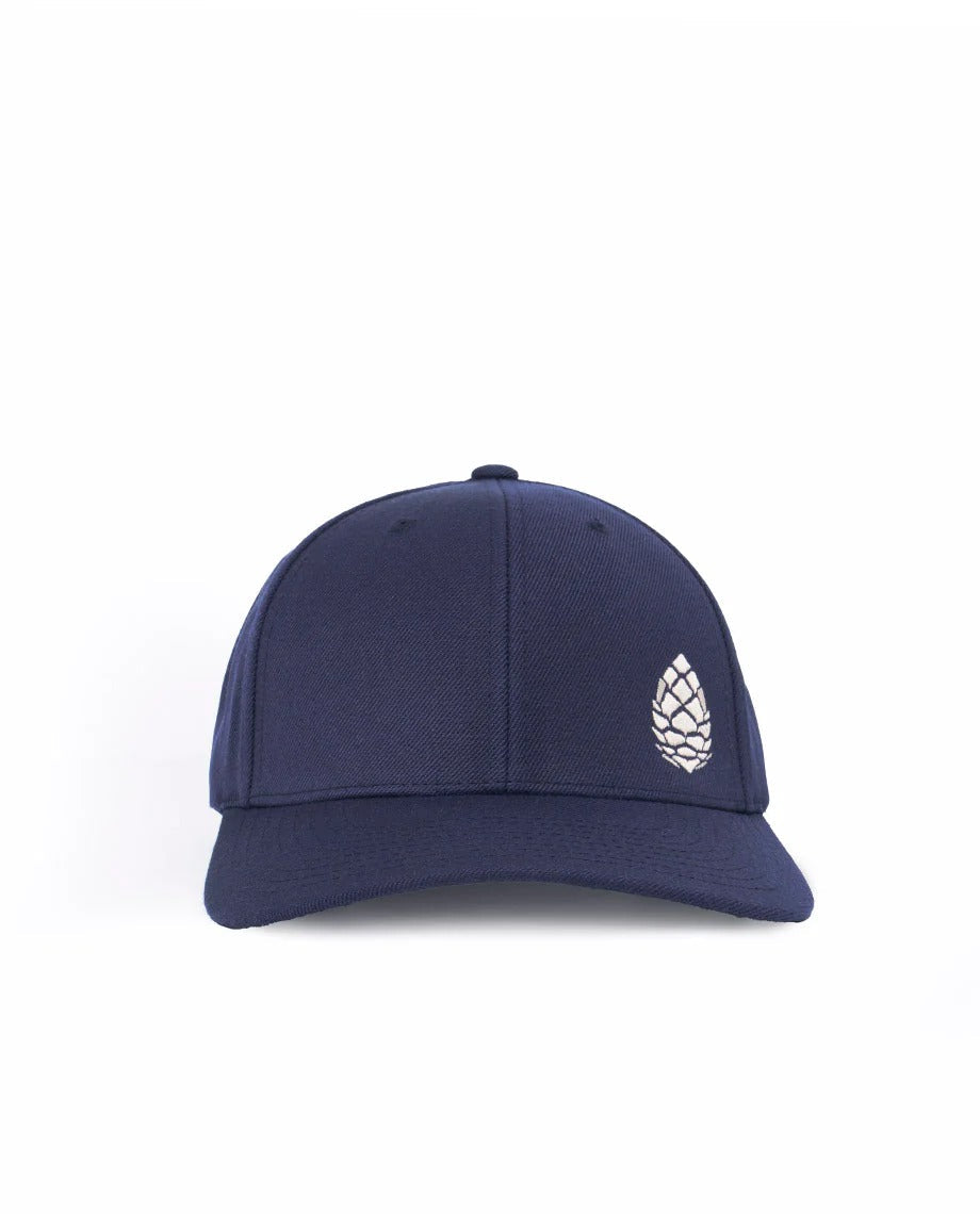 Stio Whitebark Pinecone Hat Stio