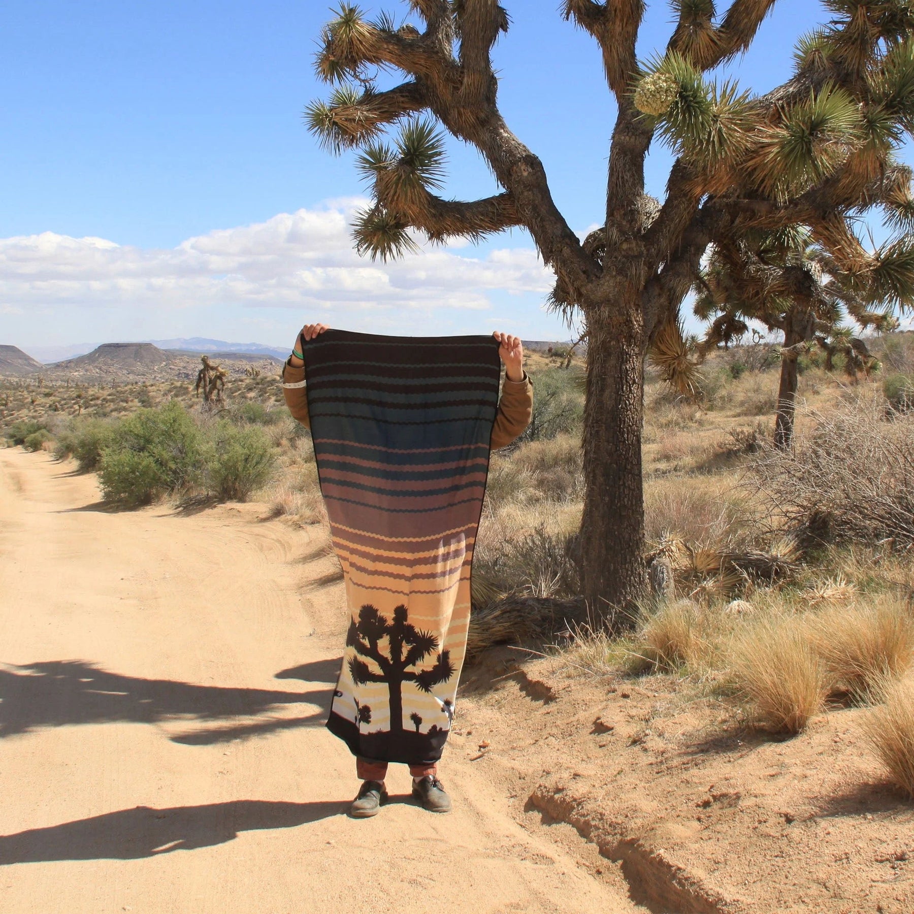 Original Towel: Joshua Tree National Park Nomadix