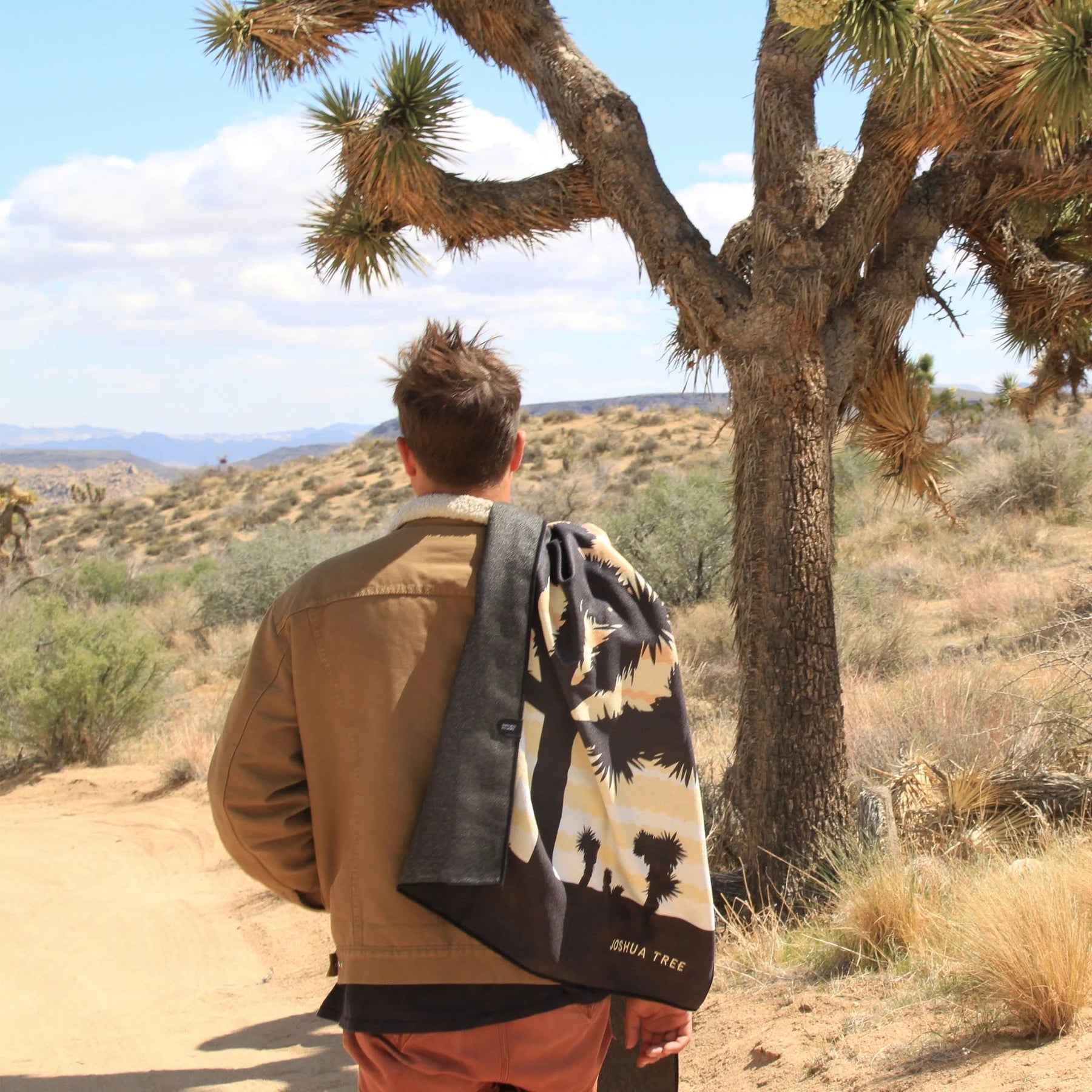 Original Towel: Joshua Tree National Park Nomadix
