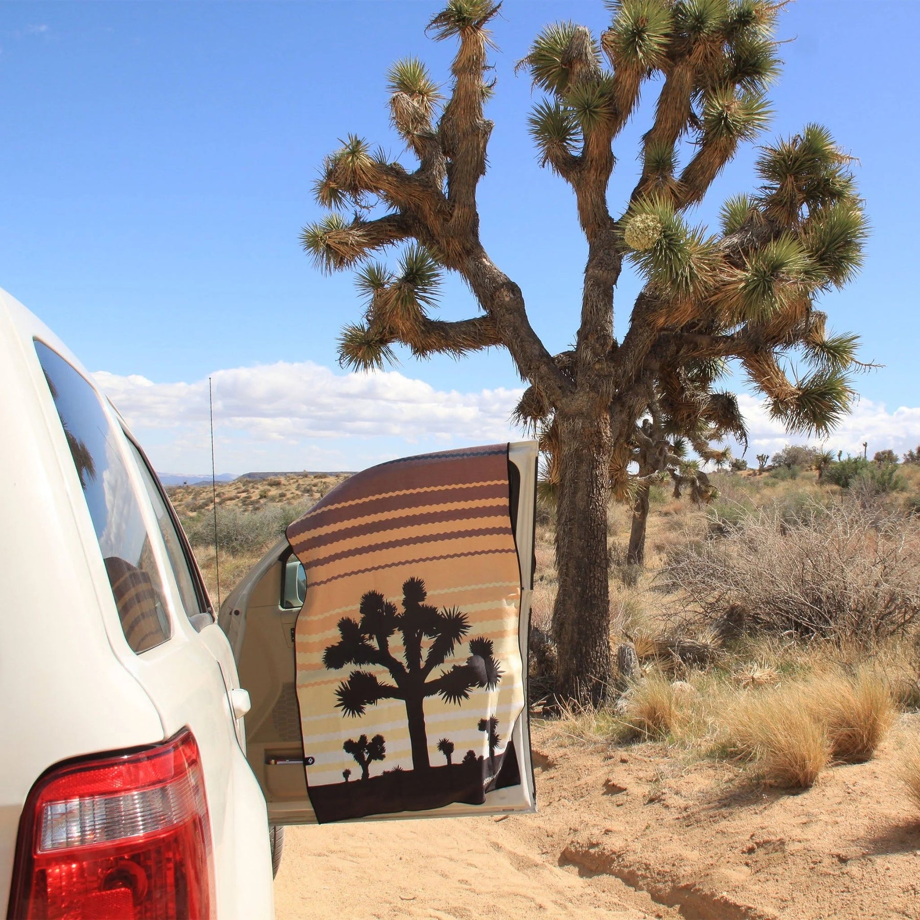 Original Towel: Joshua Tree National Park Nomadix