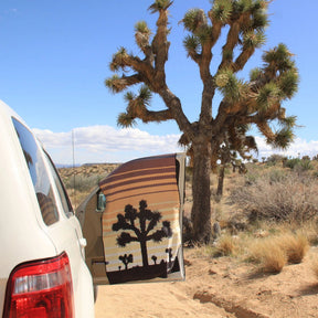 Original Towel: Joshua Tree National Park Nomadix