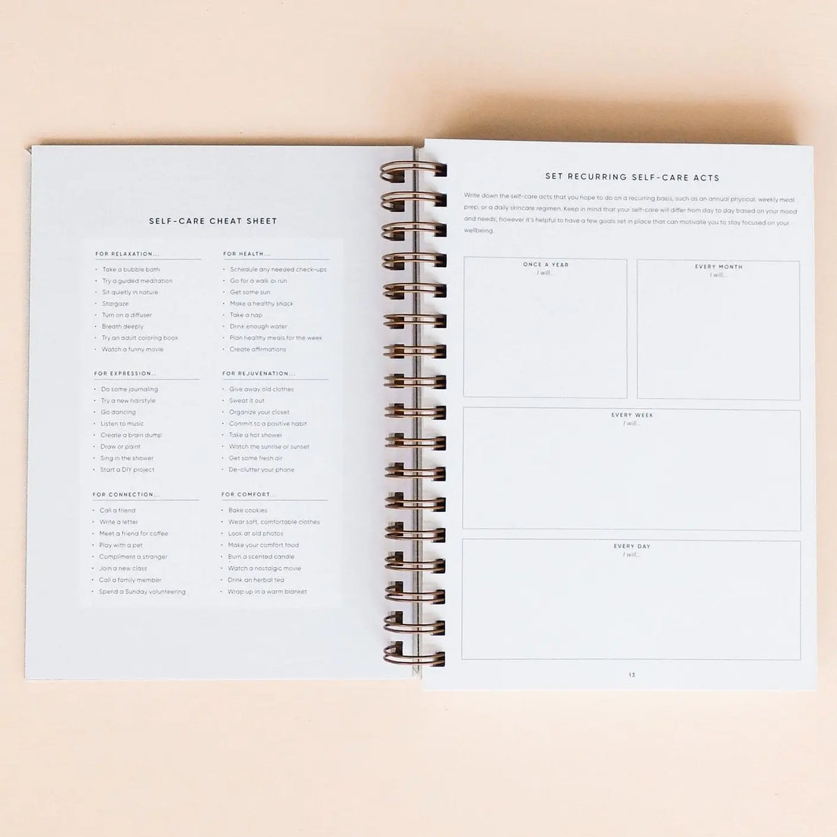 Simple Self The Self Care Planner | EarthHero